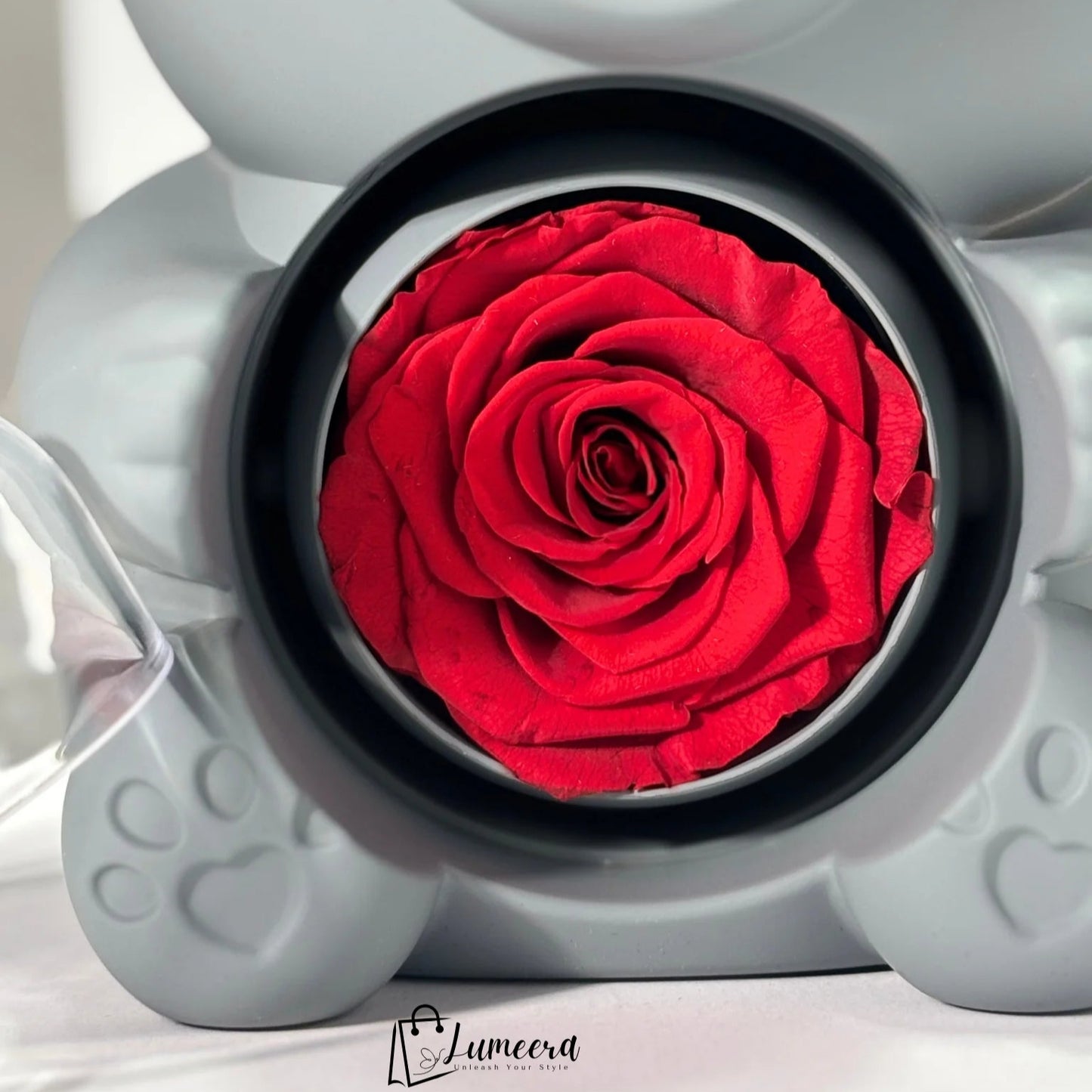 Eternal Romance Bear Preserved Flower Jewellery Gift Box