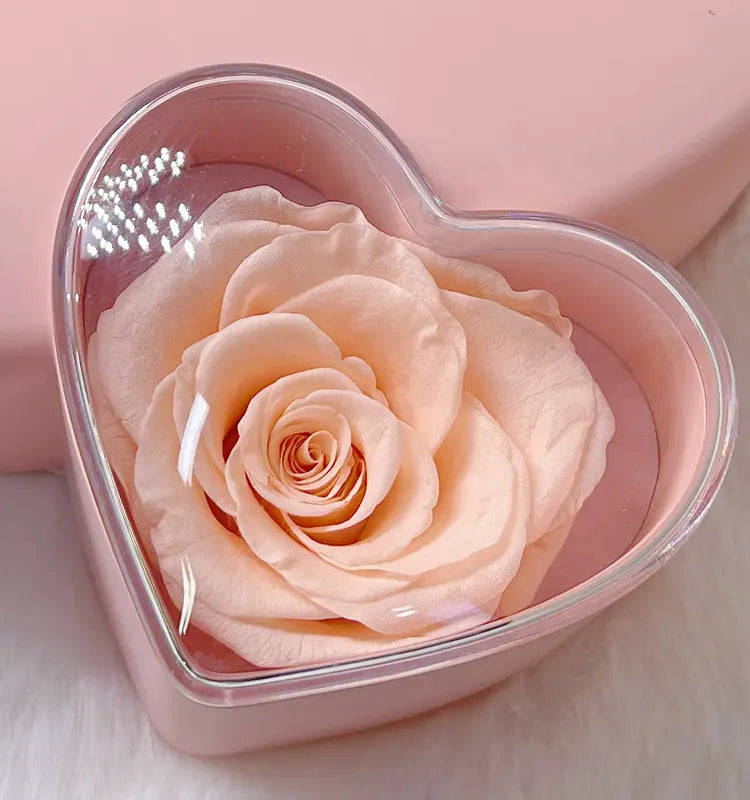 Cupid Heart with Preserved Flower Jewellery Box Gift Box ( Ring or Necklace not Included)