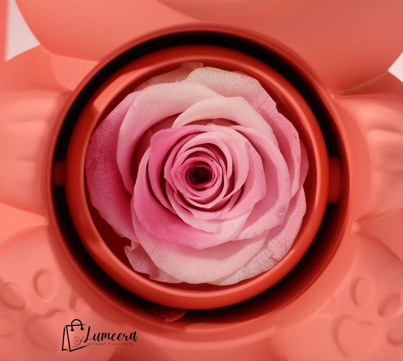 Blush Ember Bear Preserved Flower Jewellery Gift Box