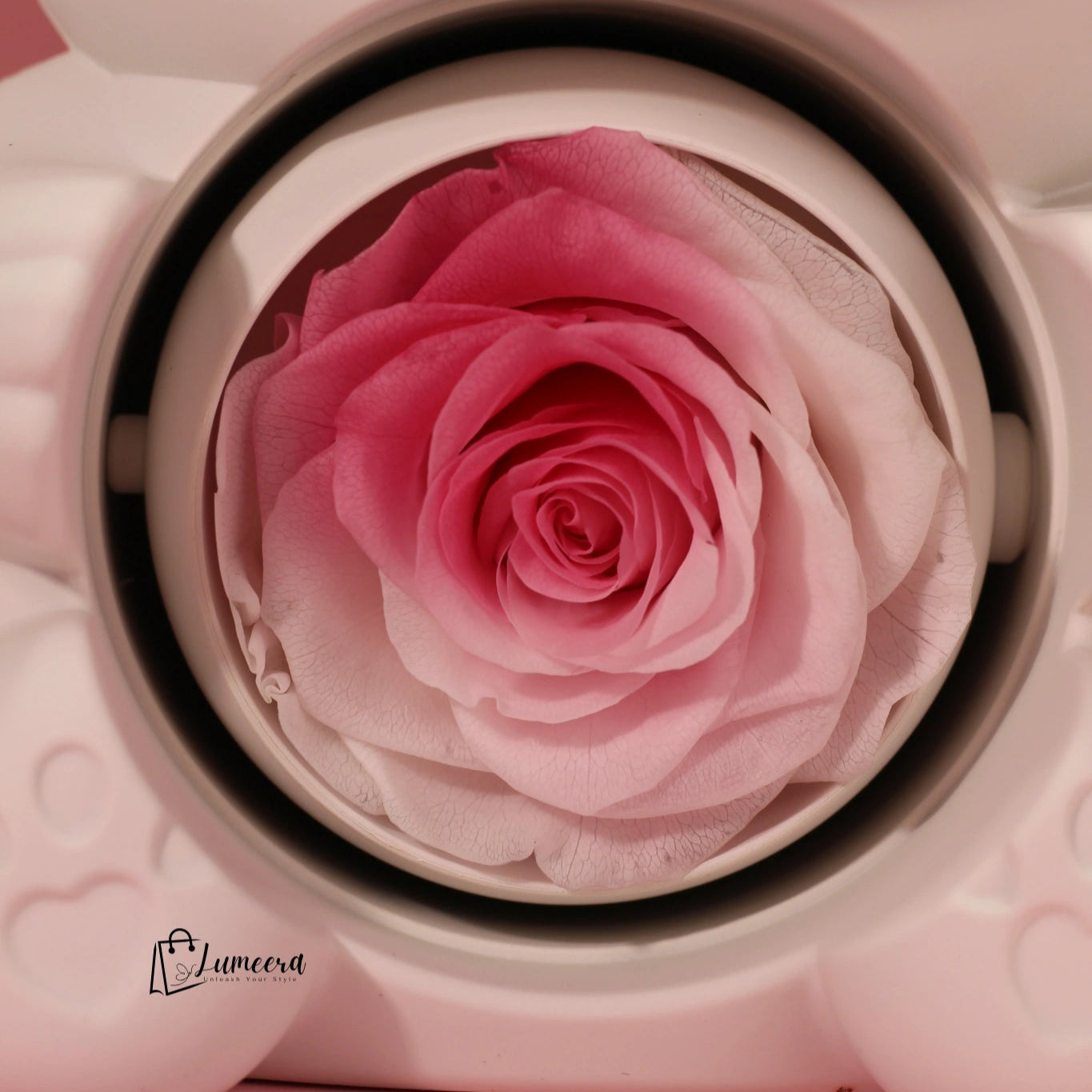 Rosélume Bear Preserved Flower Jewellery Gift Box