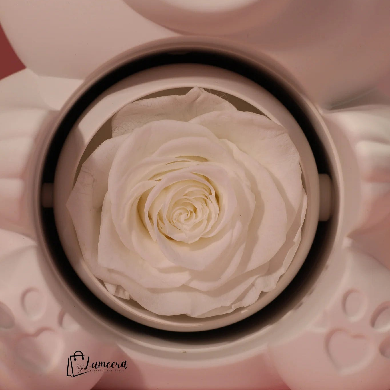 Ethereal Glow Bear Preserved Flower Jewellery Gift Box