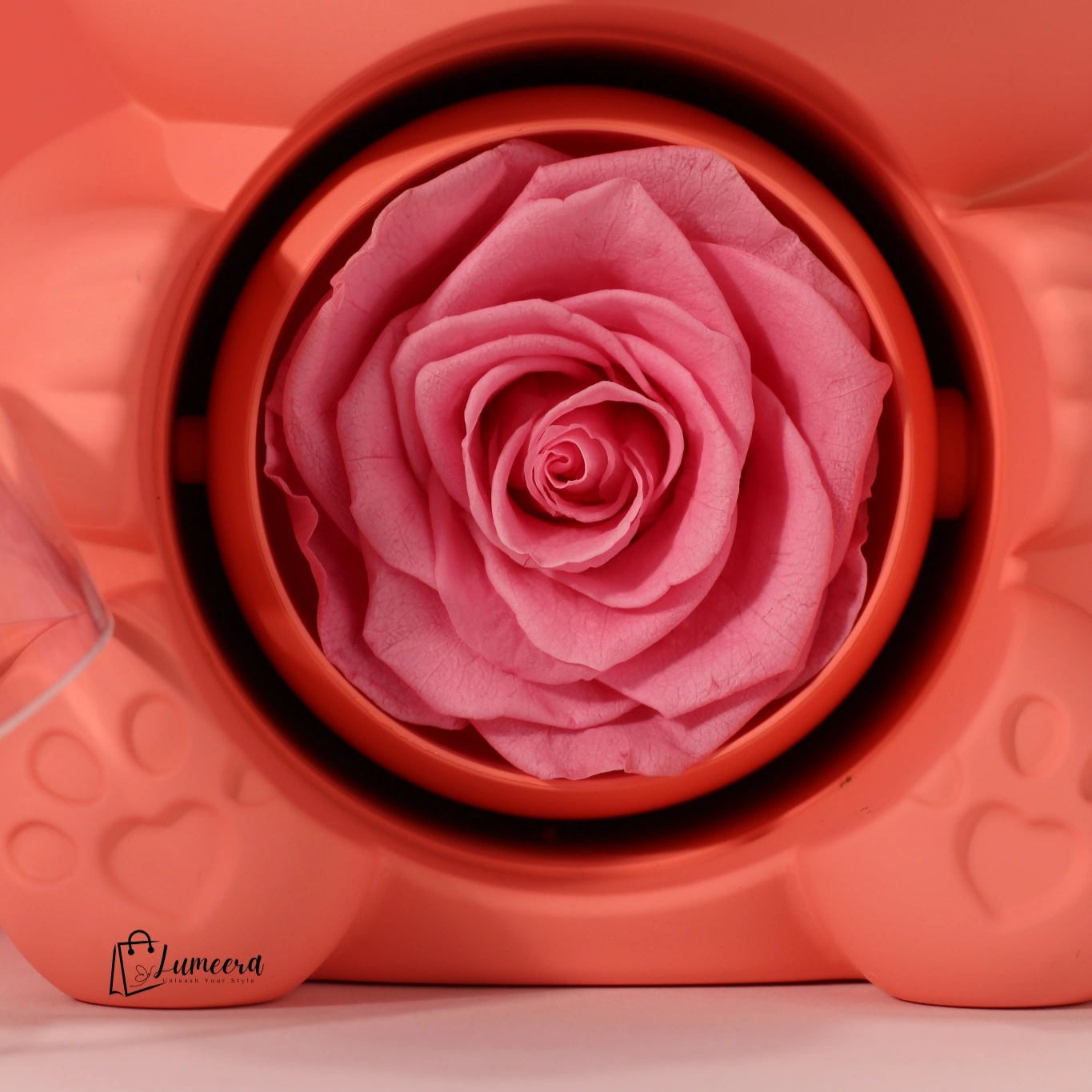 Tenderheart Bear Preserved Flower Jewellery Gift Box