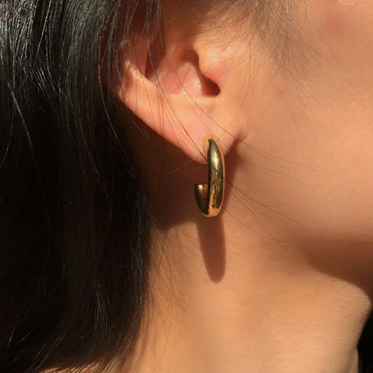 Lustrous Arc Earrings